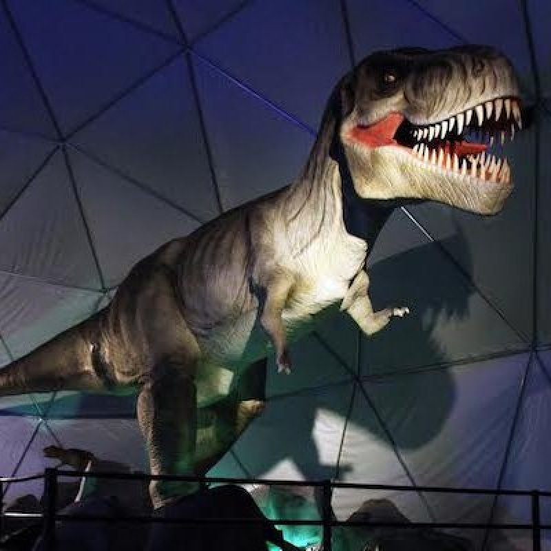 Dinosaurios y Dragones Fantásticos”: Exhibición interactiva aterrizará en  Estación Mapocho | Diario Usach