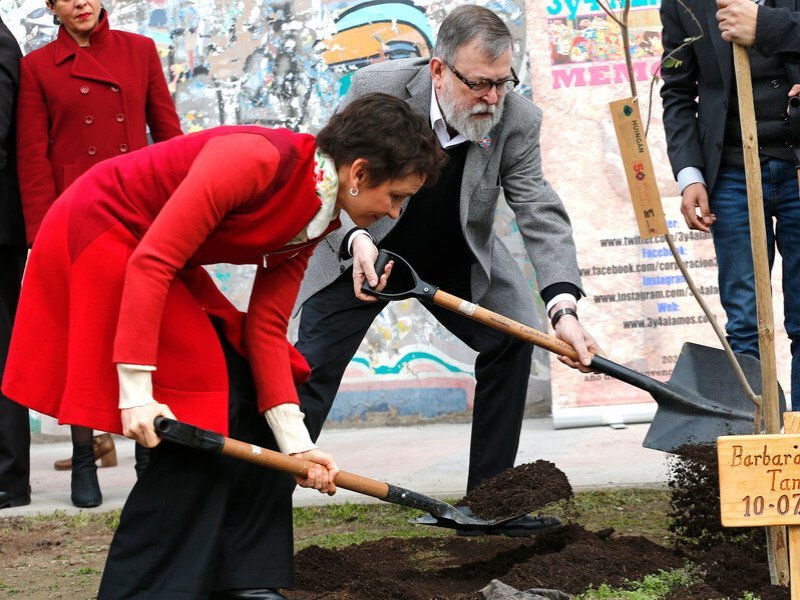 Más de dos mil árboles serán plantados en homenaje a víctimas de la dictadura